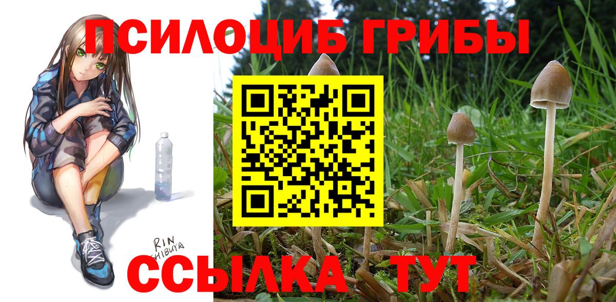 Галлюциногенные грибы Psilocybine cubensis  Вход с VPN  Домодедово 